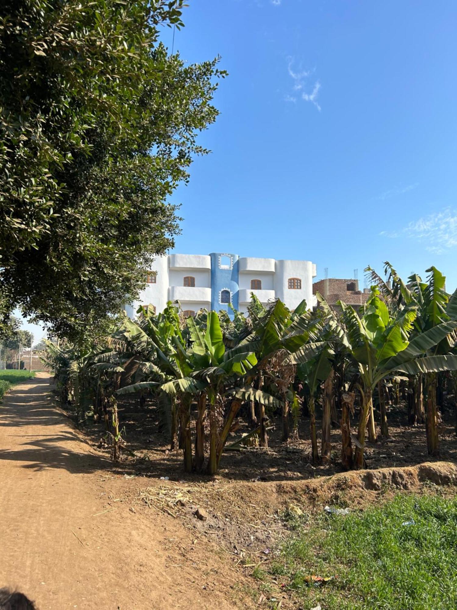 Lemon Tree Apartments Luxor Al Aqalitah Exterior photo