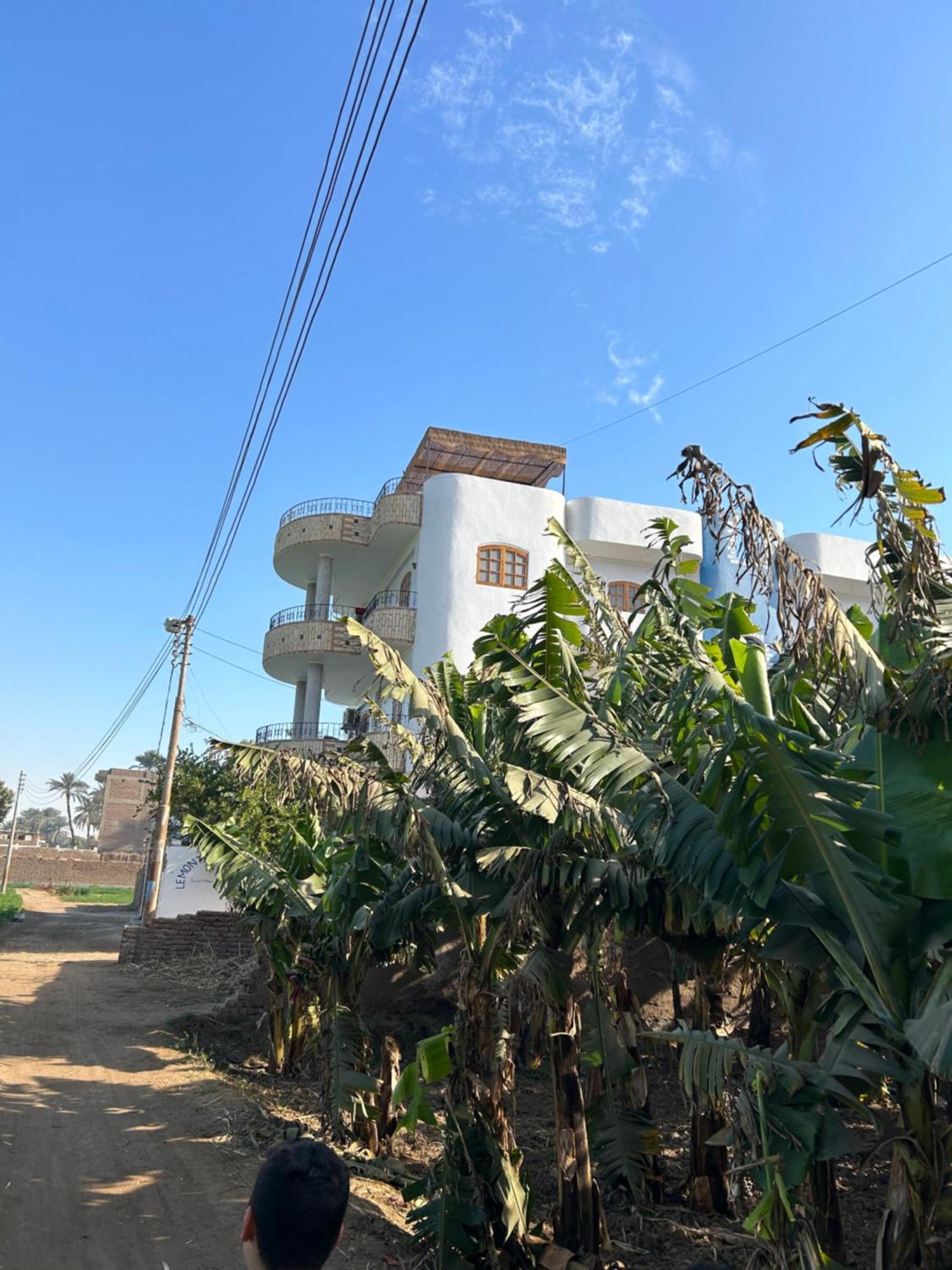 Lemon Tree Apartments Luxor Al Aqalitah Exterior photo